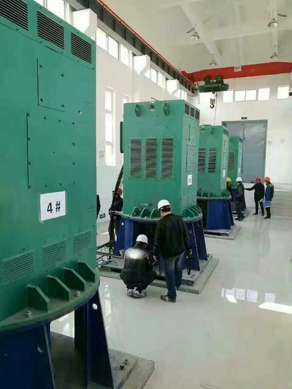YR5602-10某污水处理厂使用我厂的立式高压电机安装现场
