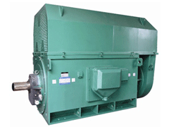 YR5602-10Y系列6KV高压电机